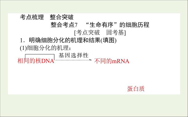 2021高考生物二轮复习3.2细胞的分化衰老凋亡和癌变课件05