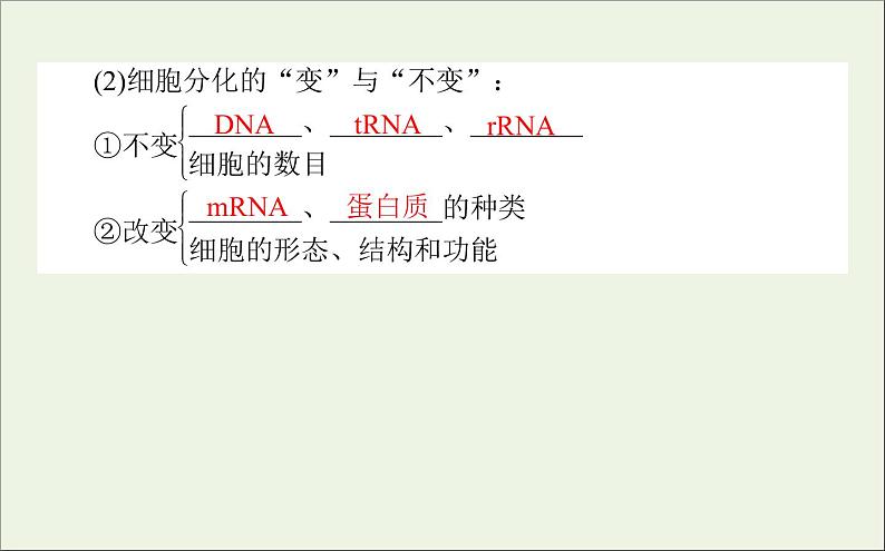 2021高考生物二轮复习3.2细胞的分化衰老凋亡和癌变课件06