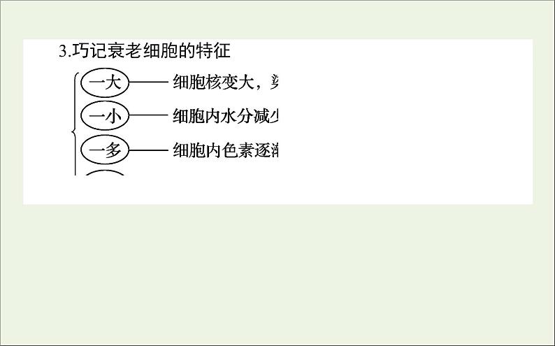 2021高考生物二轮复习3.2细胞的分化衰老凋亡和癌变课件08