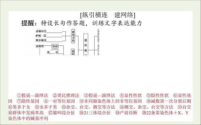 2021高考生物二轮复习4.2遗传的基本规律与人类遗传参件 课件02