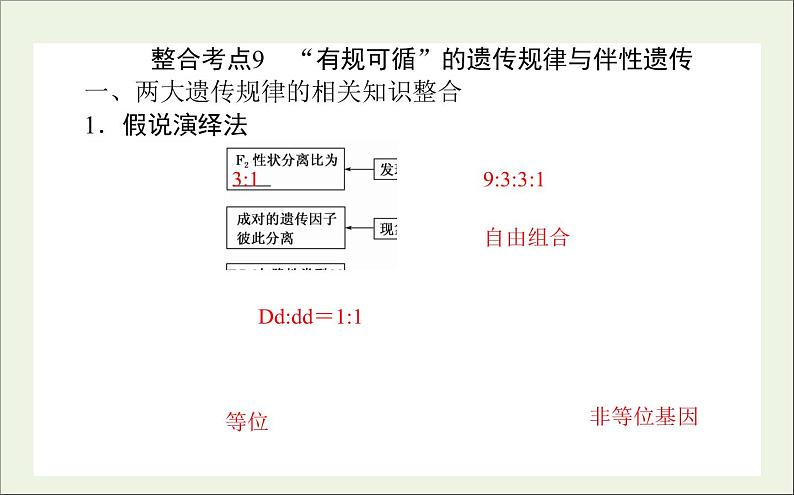 2021高考生物二轮复习4.2遗传的基本规律与人类遗传参件 课件06