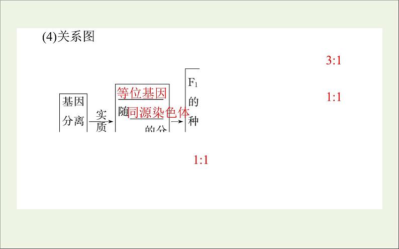 2021高考生物二轮复习4.2遗传的基本规律与人类遗传参件 课件08