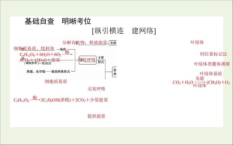 2021高考生物二轮复习2.2细胞呼吸和光合作用课件03