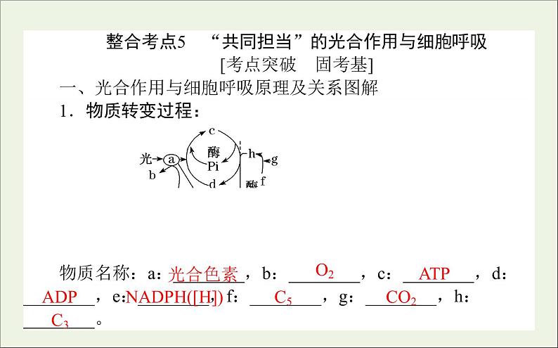 2021高考生物二轮复习2.2细胞呼吸和光合作用课件08