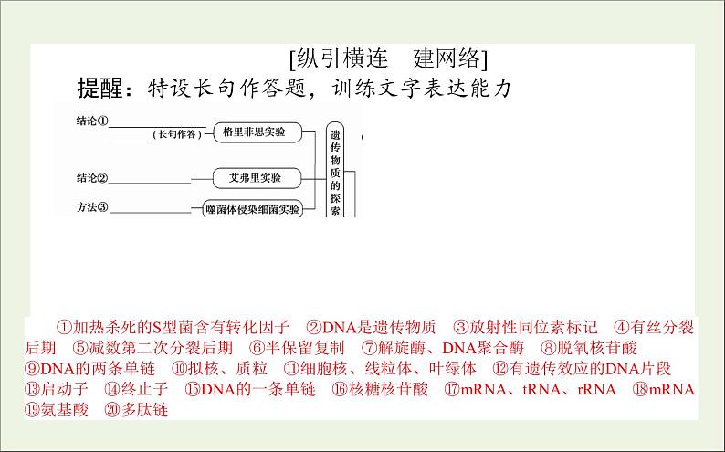 2021高考生物二轮复习4.1遗传的分子基次件 课件02