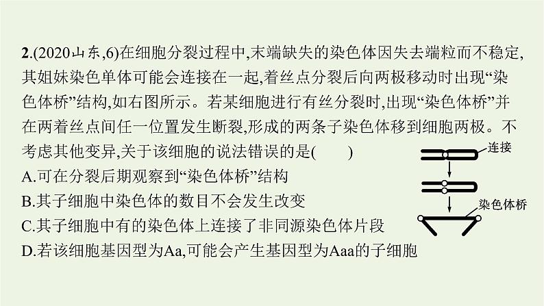 2021高考生物二轮复习第11讲变异和进化课件第5页