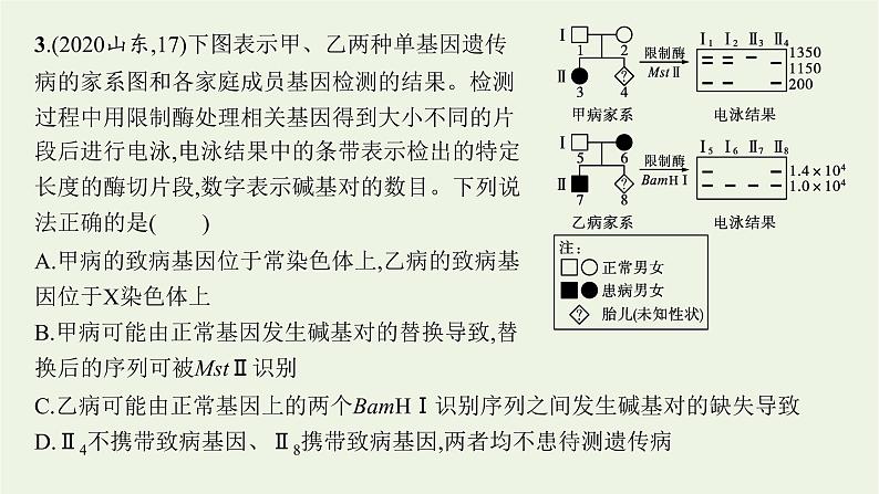 2021高考生物二轮复习第11讲变异和进化课件第7页