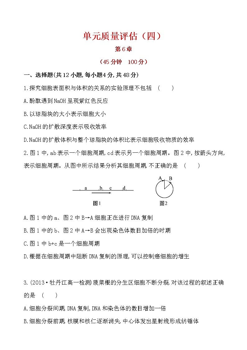 新人教版高中生物必修一 单元质量评估（四） 试卷01