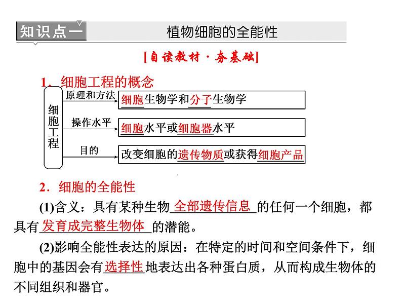 新人教版高中生物选修3专题2   2.1   植物细胞工程 2.1.1  植物细胞工程在基本技术课件05