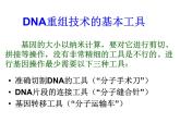 生物：1.1 《DNA重组技术的基本工具》课件2（新人教版选修3）