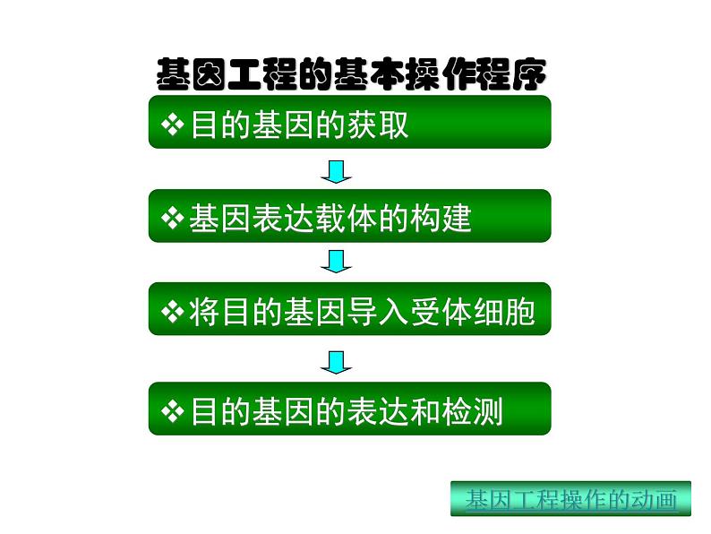 生物：1.2《基因工程的基本操作程序》课件（新人教版选修3）02