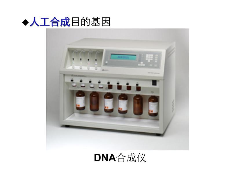 生物：1.2《基因工程的基本操作程序》课件（新人教版选修3）07