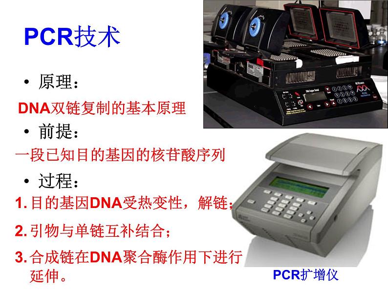 生物：1.2《基因工程的基本操作程序》课 件（新人教版选修3） 课件06