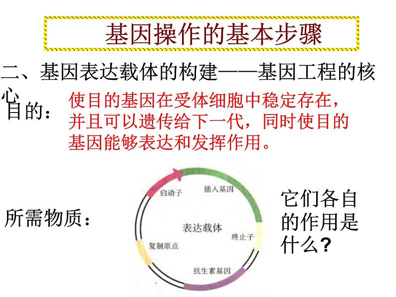 生物：1.2《基因工程的基本操作程序》课 件（新人教版选修3） 课件07