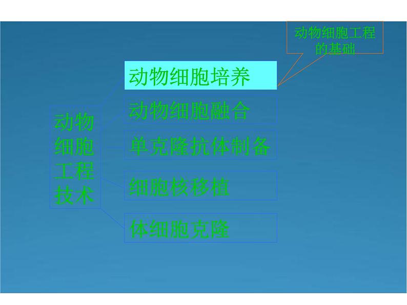 生物：2.2《动物细胞工程》课件（新人教 版选修3）03