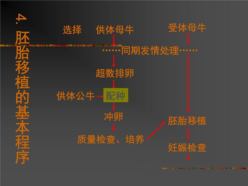 生物：3.3《胚胎工程的应用及前景》课件2（新人教版选修3）07