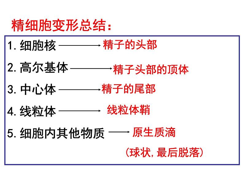 生物：专题3《胚胎工程》课件（2）（新人教版选修3）07