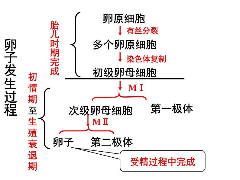 生物：专题3《胚胎工程》课件（2）（新人教版选修3）08