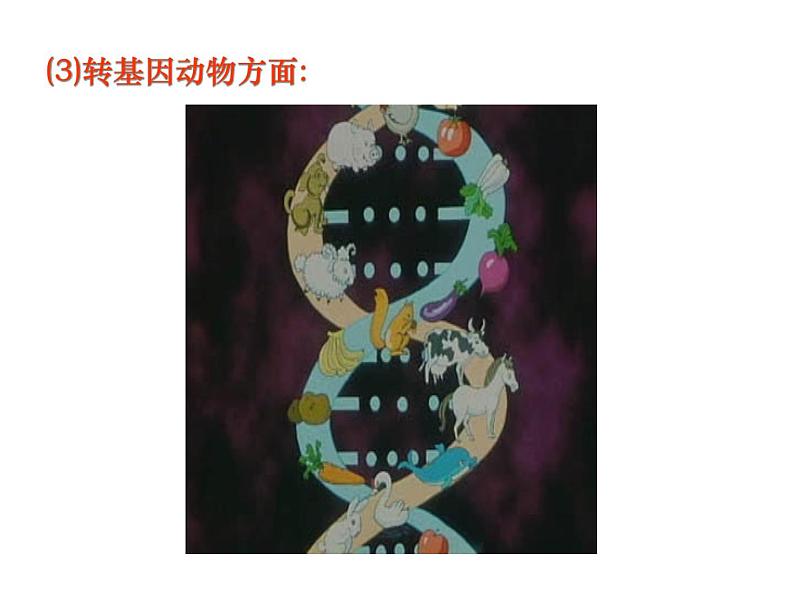 生物：4.1《转基因生物的安全性》课件1（新人教版选修3）08