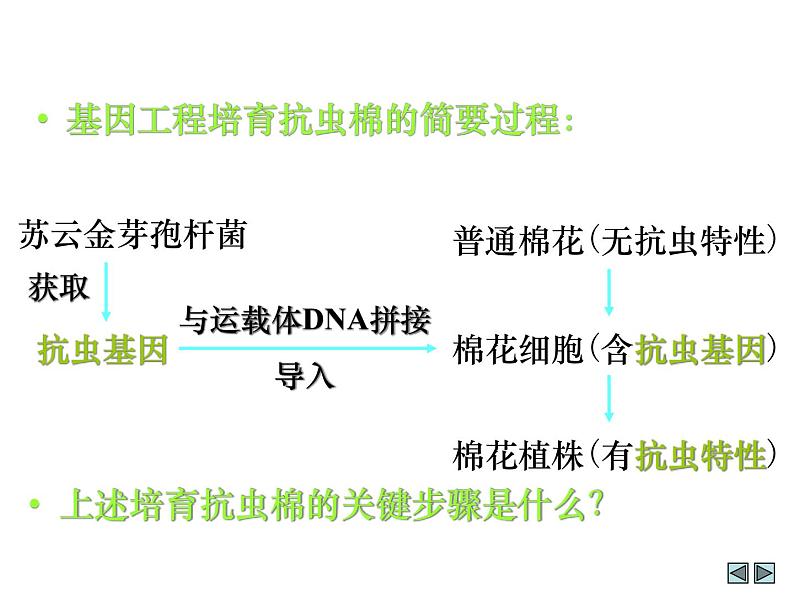 生物：《现代生物科技专题》课件（4）（新人教版选修3）08