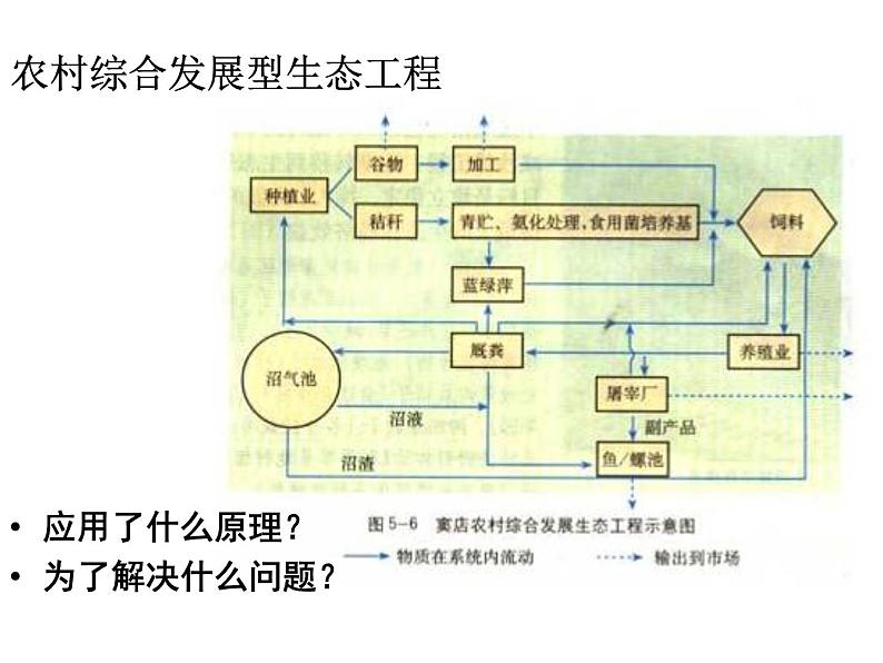 生物：5.2《生态工程的实例和发展前景》课件（1）（新人教版选修3）04