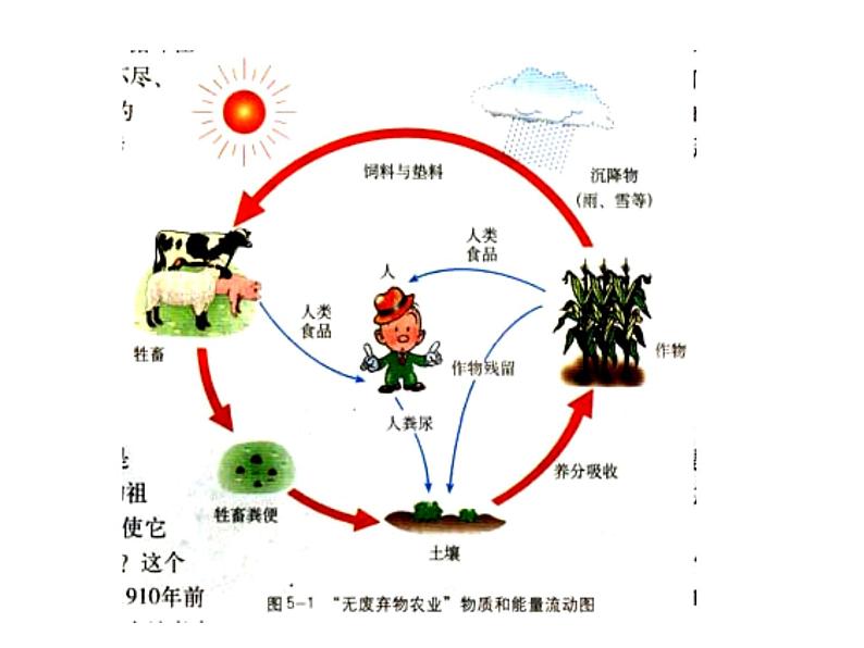 生物：选修三专题5《生态工程》课件（新人教版选修3）04