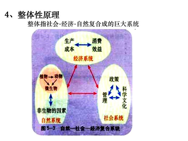 生物：选修三专题5《生态工程》课件（新人教版选修3）06