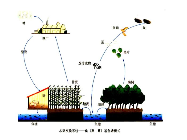 生物：选修三专题5《生态工程》课件（新人教版选修3）08