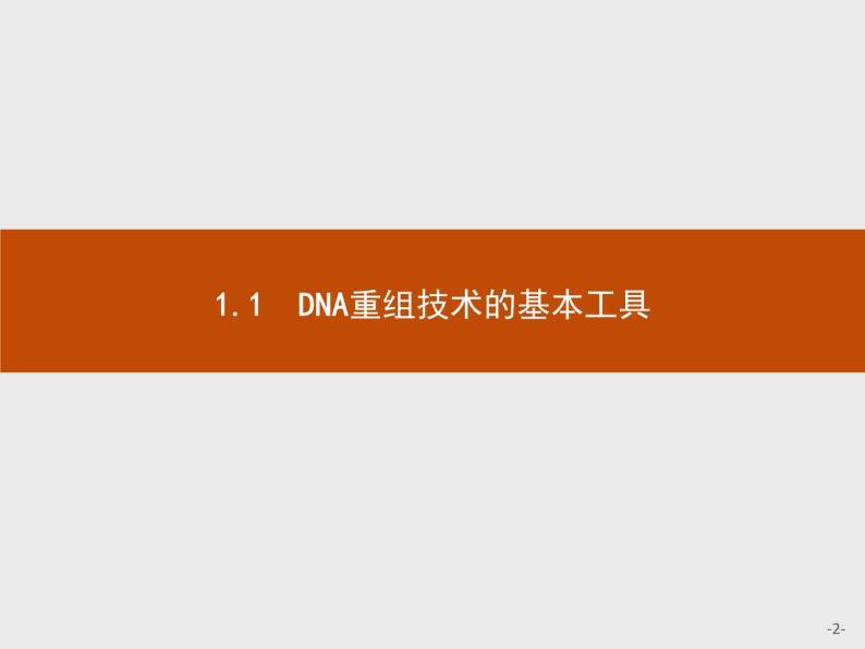 高中生物人教版选修3课件：1.1 DNA重组技术的基本工具02