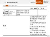 高中生物人教版选修3课件：1.2 基因工程的基本操作程序