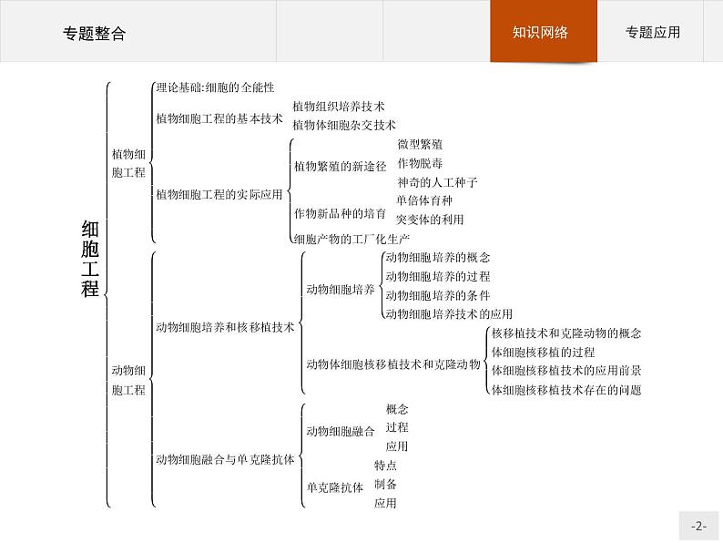 高中生物人教版选修3课件：专题2 细胞工程02