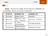 高中生物人教版选修3课件：专题2 细胞工程