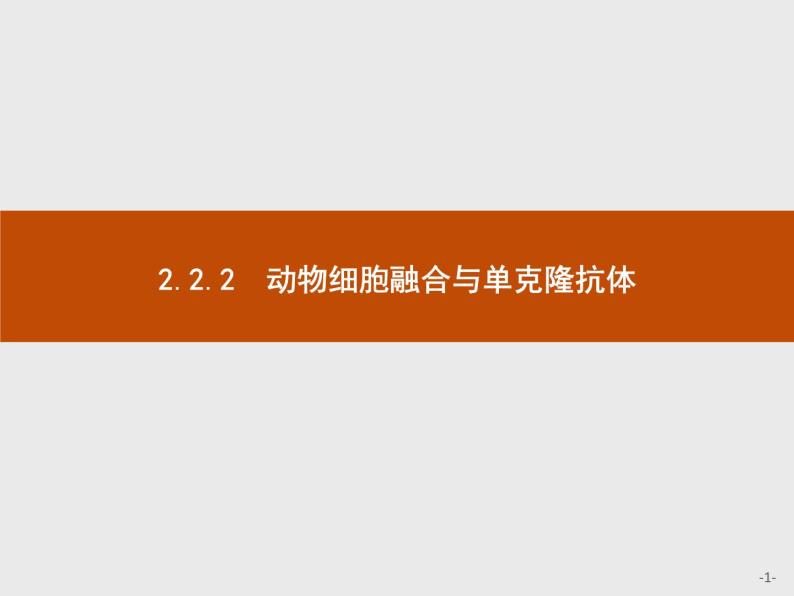 高中生物人教版选修3课件：2.2.2 动物细胞融合与单克隆抗体01