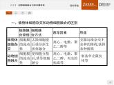 高中生物人教版选修3课件：2.2.2 动物细胞融合与单克隆抗体