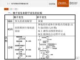 高中生物人教版选修3课件：3.1 体内受精和早期胚胎发育