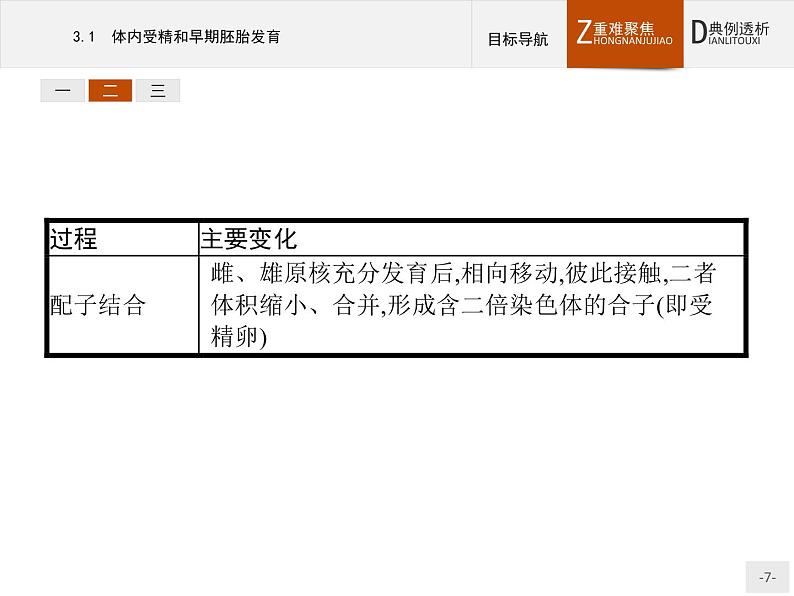 高中生物人教版选修3课件：3.1 体内受精和早期胚胎发育07