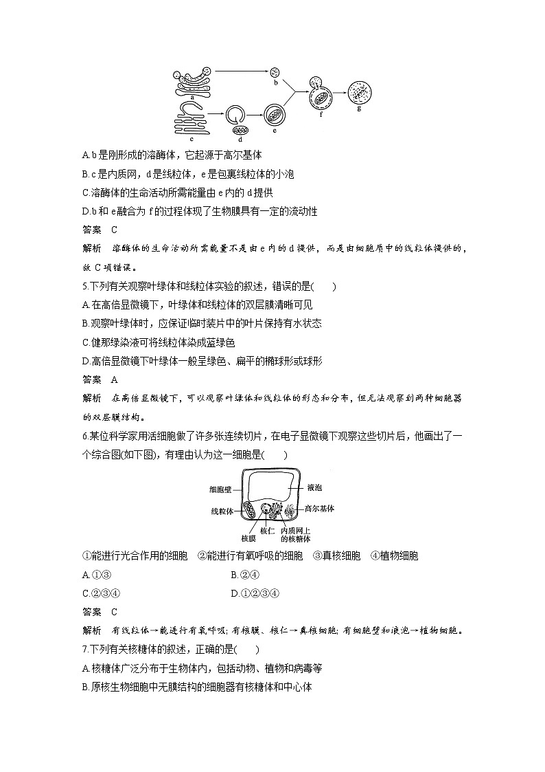 生物人教版必修1习题：第3章检测卷 word版含解析02