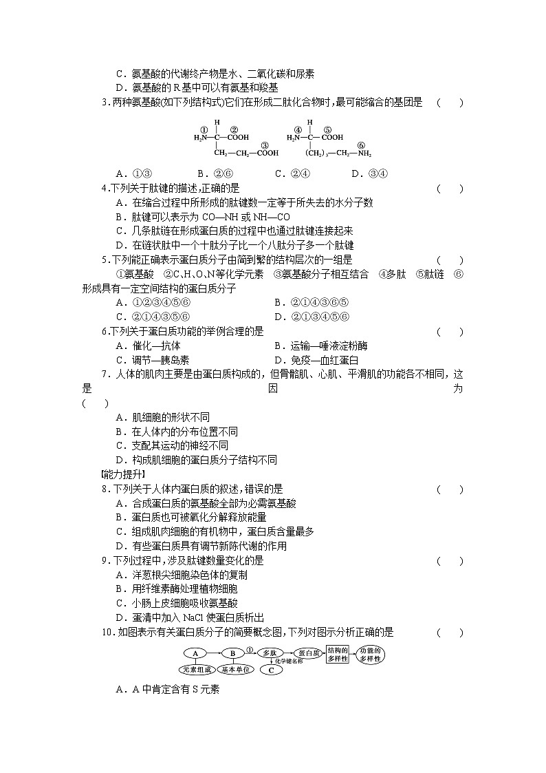 生物人教版必修1对点训练：2.2 生命活动的主要承担者——蛋白质（一） word版含解析03