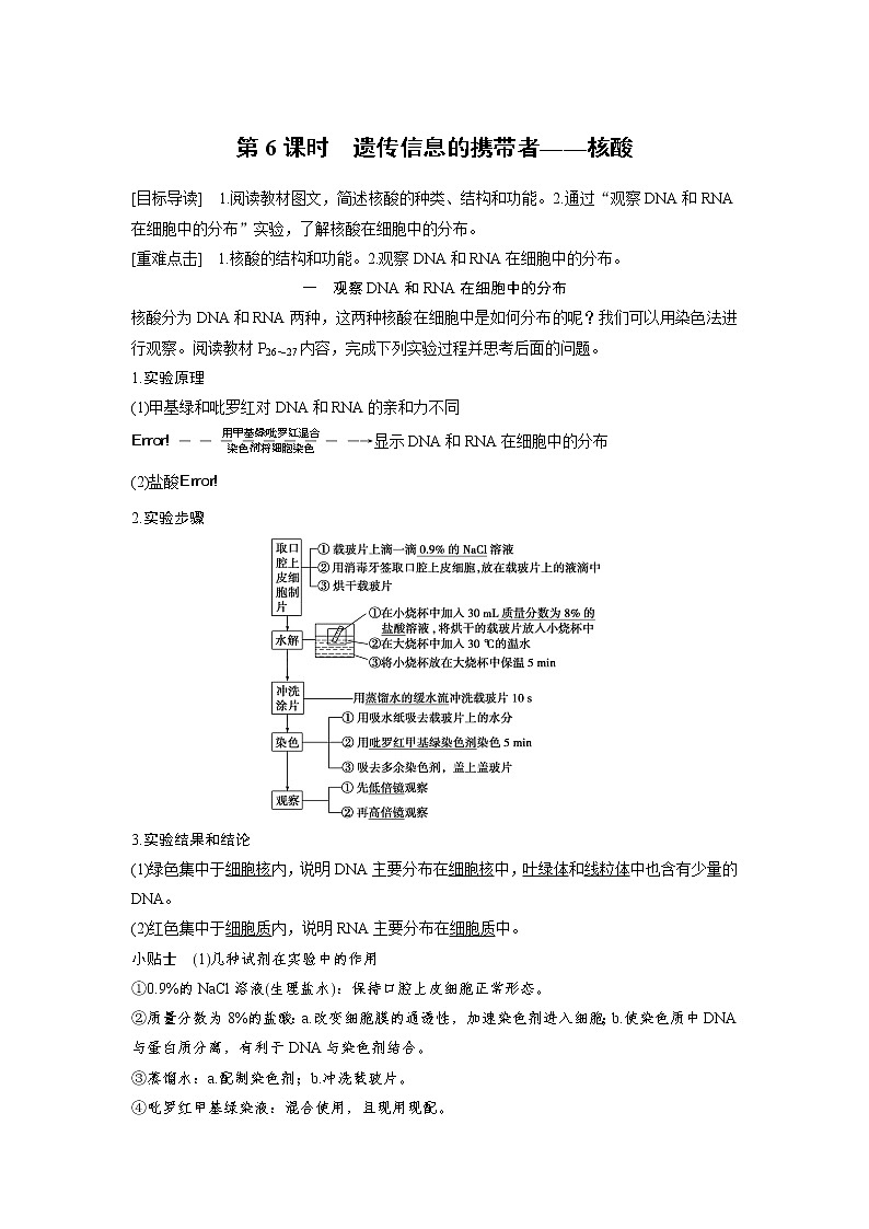 生物人教版必修1习题：2.3 遗传信息的携带者——核酸 word版含解析01