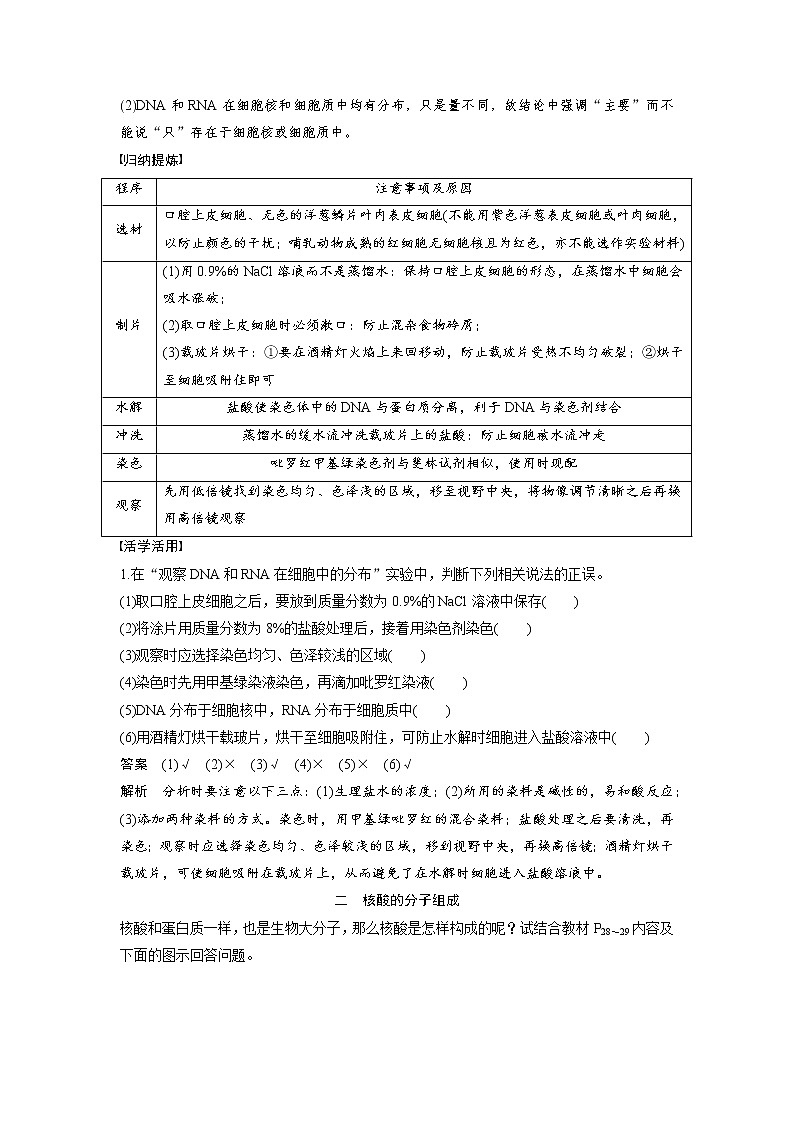 生物人教版必修1习题：2.3 遗传信息的携带者——核酸 word版含解析02