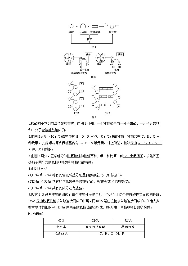 生物人教版必修1习题：2.3 遗传信息的携带者——核酸 word版含解析03