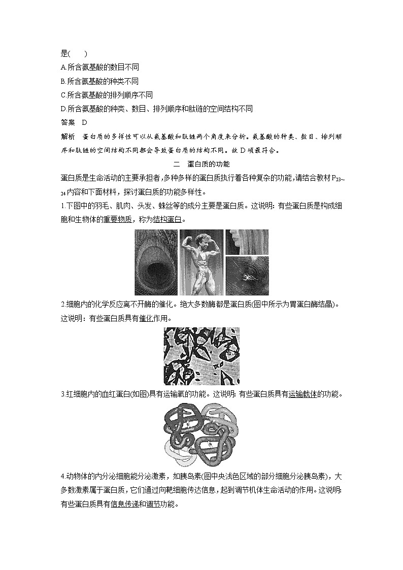 生物人教版必修1习题：2.2 生命活动的主要承担者——蛋白质（二） word版含解析02