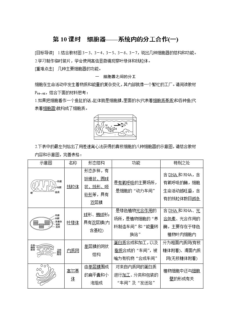 生物人教版必修1习题：3.2 细胞器——系统内的分工合作（一） word版含解析01