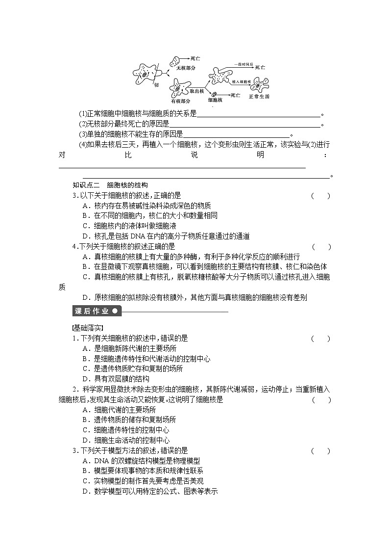 生物人教版必修1对点训练：3.3 细胞核——系统的控制中心 word版含解析02