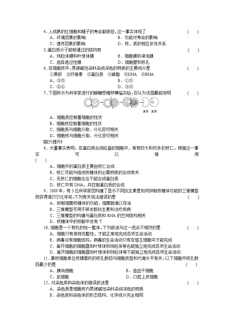 生物人教版必修1对点训练：3.3 细胞核——系统的控制中心 word版含解析03