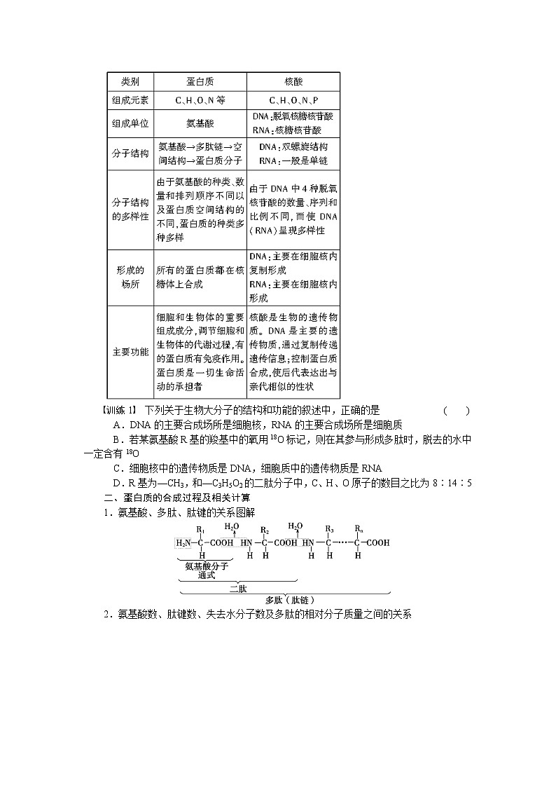 生物人教版必修1：第二章 组成细胞的分子 章末复习 word版含解析第2页