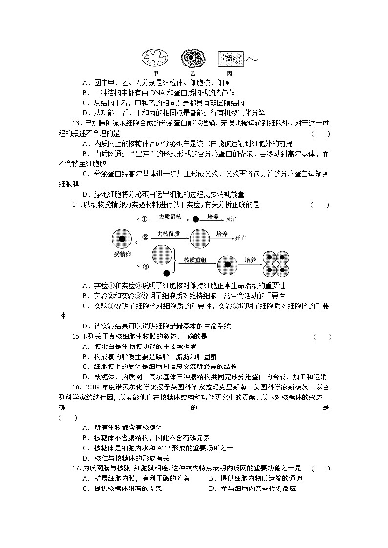 生物人教版必修1：第三章 单元检测 word版含解析第3页