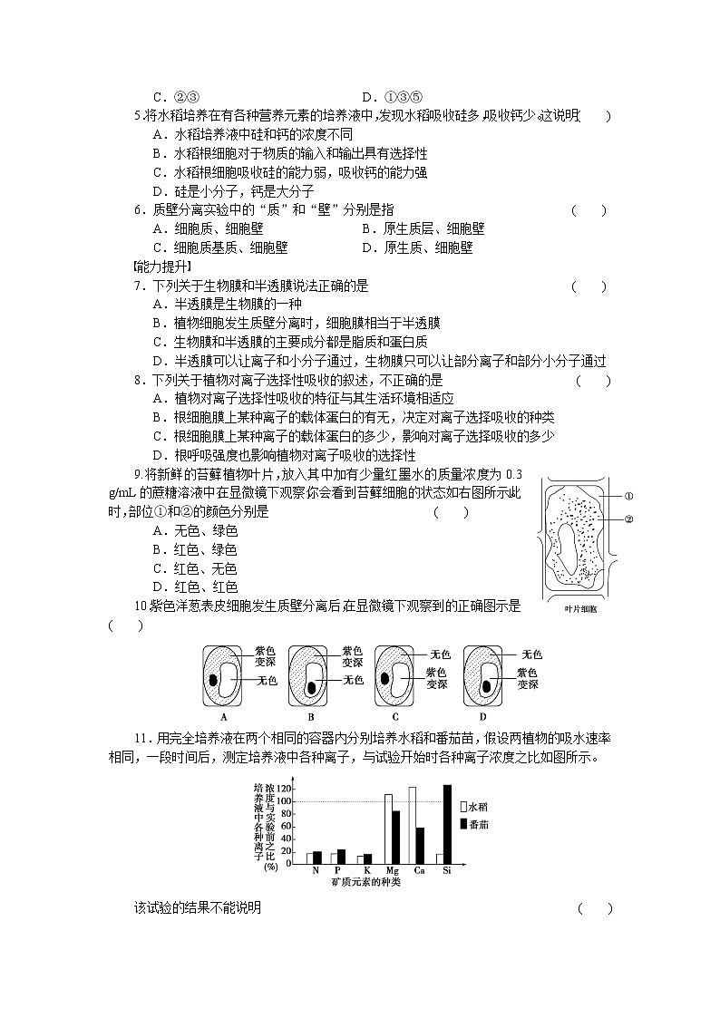 生物人教版必修1对点训练：4.1 物质跨膜运输的实例 word版含解析03