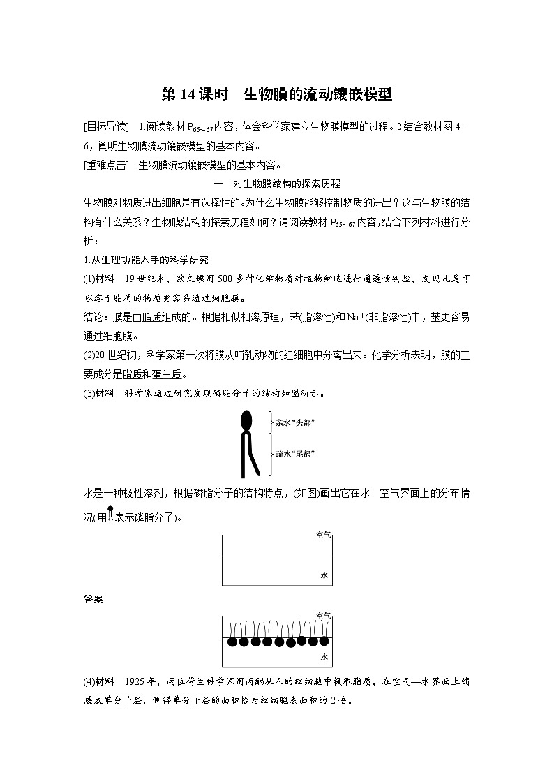 生物人教版必修1习题：4.2 生物膜的流动镶嵌模型 word版含解析01