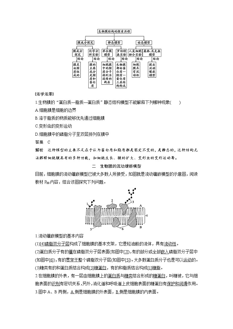 生物人教版必修1习题：4.2 生物膜的流动镶嵌模型 word版含解析03